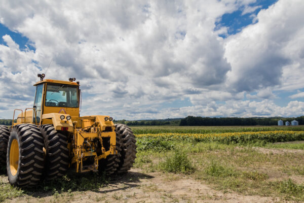 Big yellow tractor in the sunflower and cornfield under a blue cloudy sky machine tickets vs RPL - Noble training group